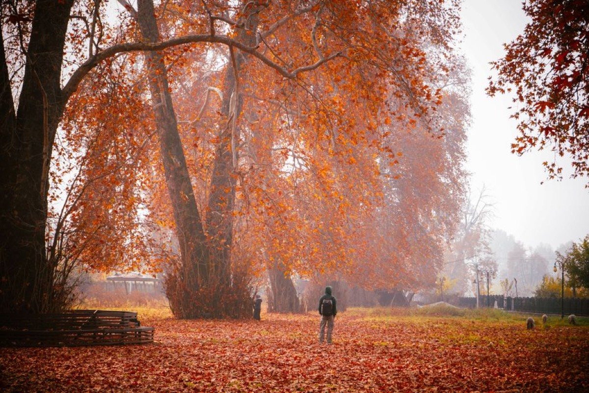 Best Time to Visit Kashmir