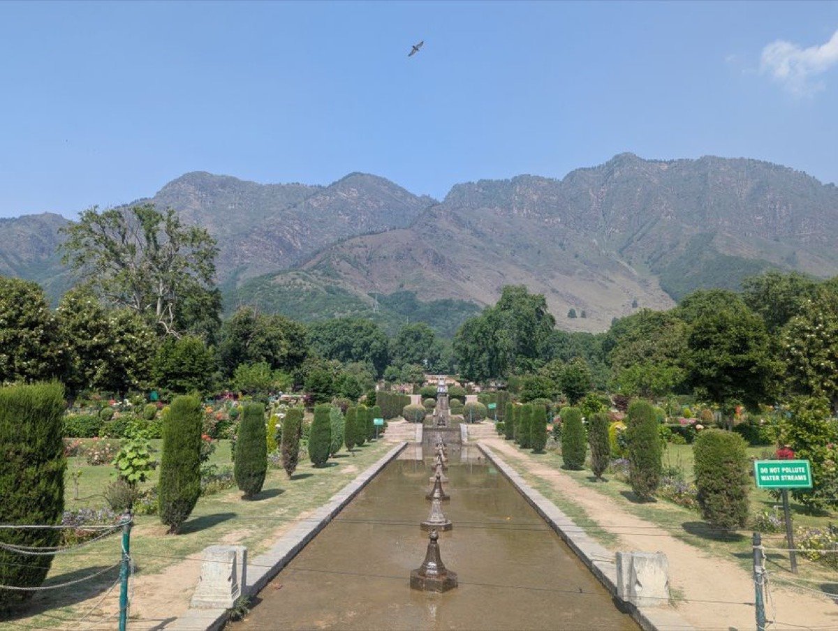 Blooming Mughal garden in Srinagar